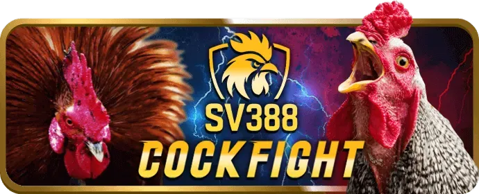 Hoàn trả hàng ngày VF555